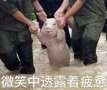 2017年度表情包大赏小猪佩奇,假笑boy,边缘试探.你最爱