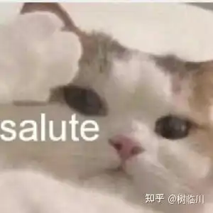 英语专业的四级啥时候考啊又几次机会啊