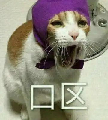 您有一份关于猫咪健康的快件已到达,请各位铲屎官签收一下