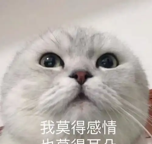 每日一笑我打了疫苗还怕你咬我于是发小又向那狗冲去