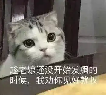 有哪些可爱的猫猫表情包