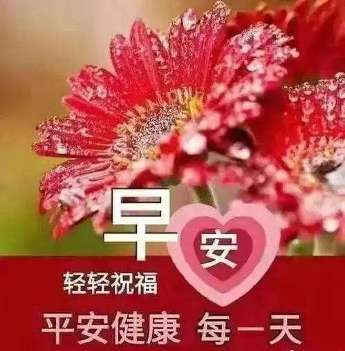 最新漂亮的周二早上好表情图片,每天好心情,万事皆如意
