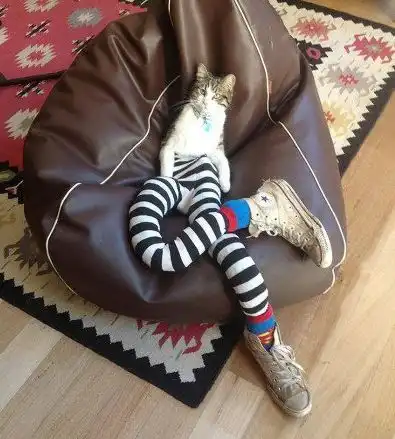 搞笑gif我只是觉得一次抬两个头会比较费力