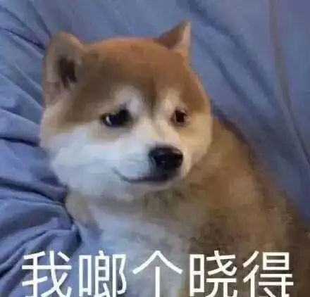 有哪些让人觉得脑袋不大灵光的表情包