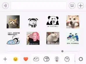 表情包多的女生,最不好撩搞笑频道