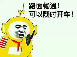 老司机带队,快上车新手的插件指引一