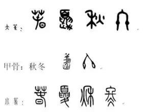 春夏冬这三个字的甲骨文,金书,大篆,小篆怎么写
