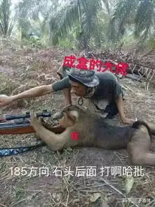 女玩家玩吃鸡手游是什么体验