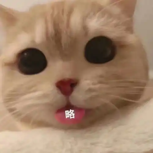 热门表情包第136期丨可爱撒娇