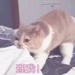 搞怪萌宠表情我怎么这么可爱,开心到劈叉,走了