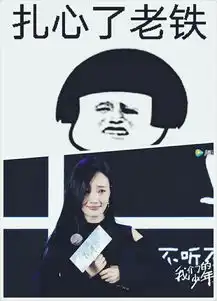 发布会现场,表情包璐上线作为一个老人民艺术家