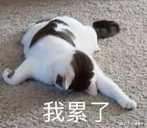 表情包捂眼睛,这简直不能看