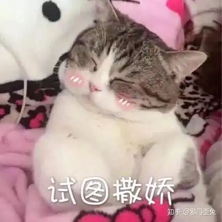 有没有一瞬间很讨厌自己家乡的人和事