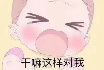 猫猫表情包超沙雕的猫咪表情包