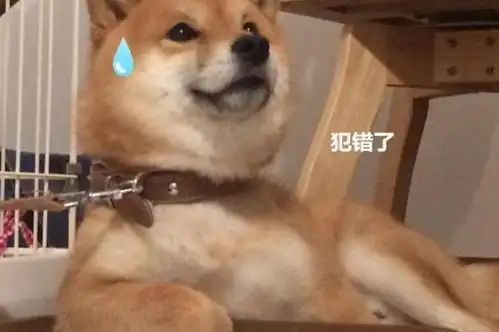 男子正教育柴犬,低头一看人都傻了你是表情包成精吗