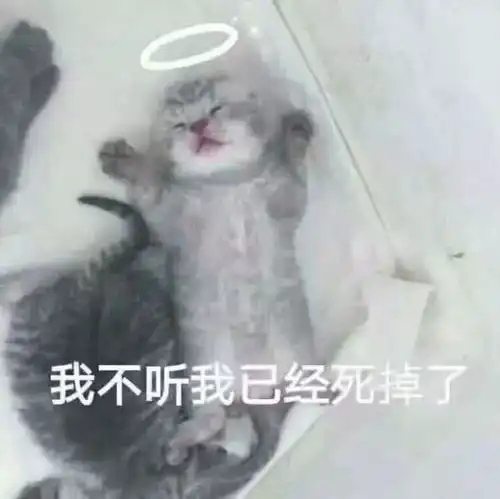 有哪些适合发说说的沙雕可爱文案