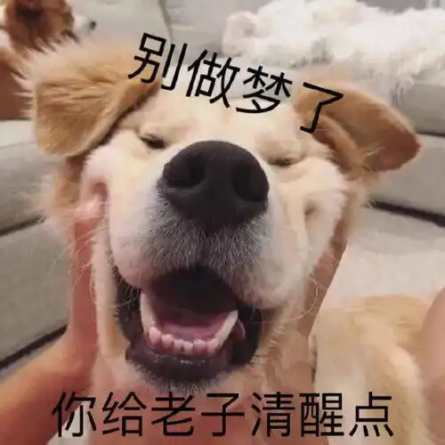从90斤到120斤这9种减肥方法,让女生越减越胖
