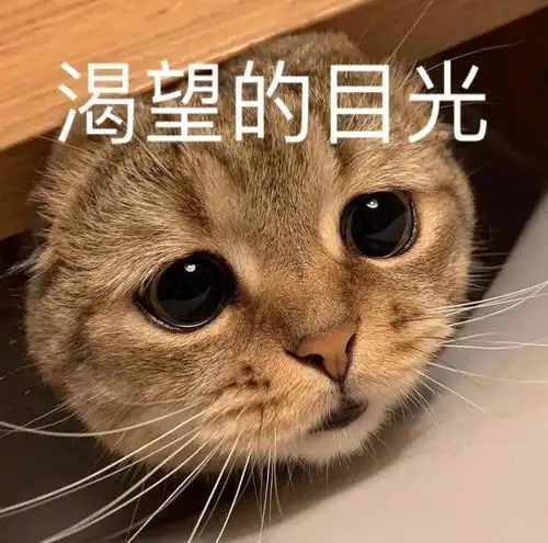 沙雕表情我懂了我是你可有可无的网友