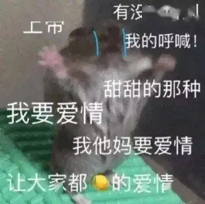 单身狗必备表情包美女只能孤芳自赏