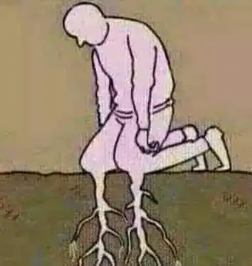 关系有关系发生关系太经典