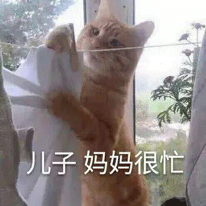 表情包忙着喜欢你