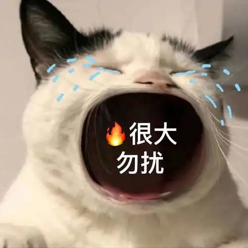 笑话十条怀孕了,妈妈从家乡来我这照顾我,我很是幸福
