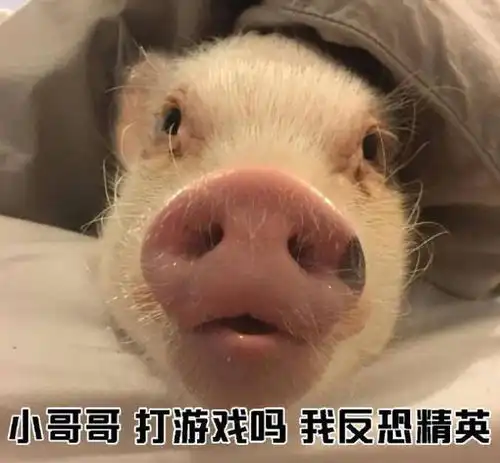 十条笑话爸,都没跟你合照过,咱来一张呗