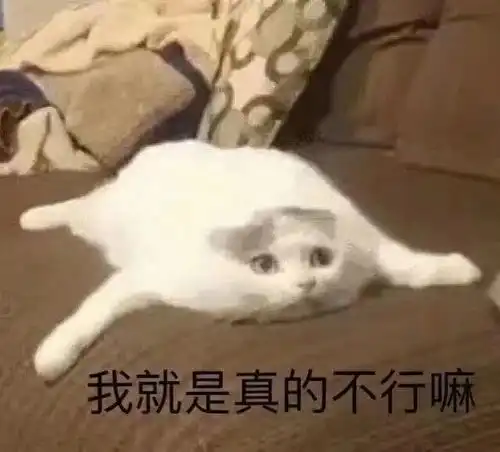 热门表情包图片帮闺蜜好好减肥,教你一招