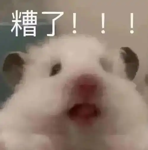 大懒x小懒的相册哈哈哈表情包