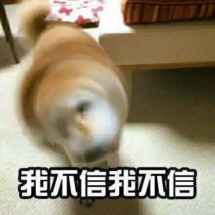 小柴狗表情包