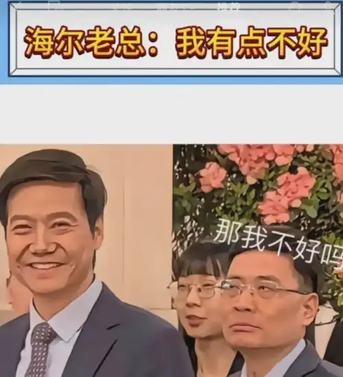 笑麻了,海尔集团ceo被戏称为雷军跟班搞笑表情成热梗