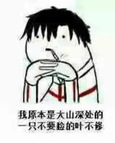 哔哩哔哩专栏