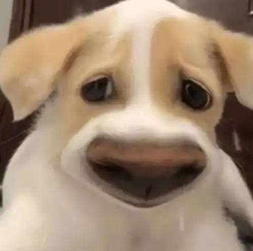 一个室友洗澡要洗两个小时