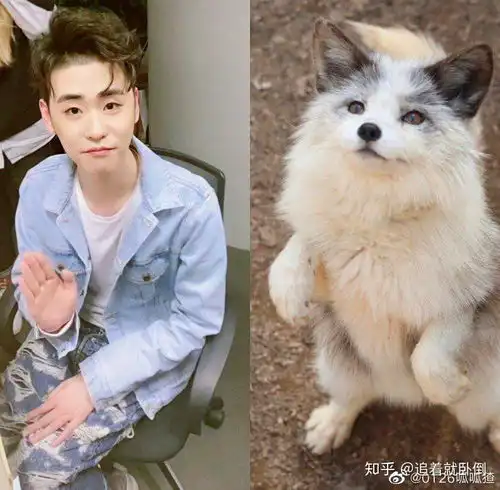 有没有什么好看的德云社图片壁纸表情包
