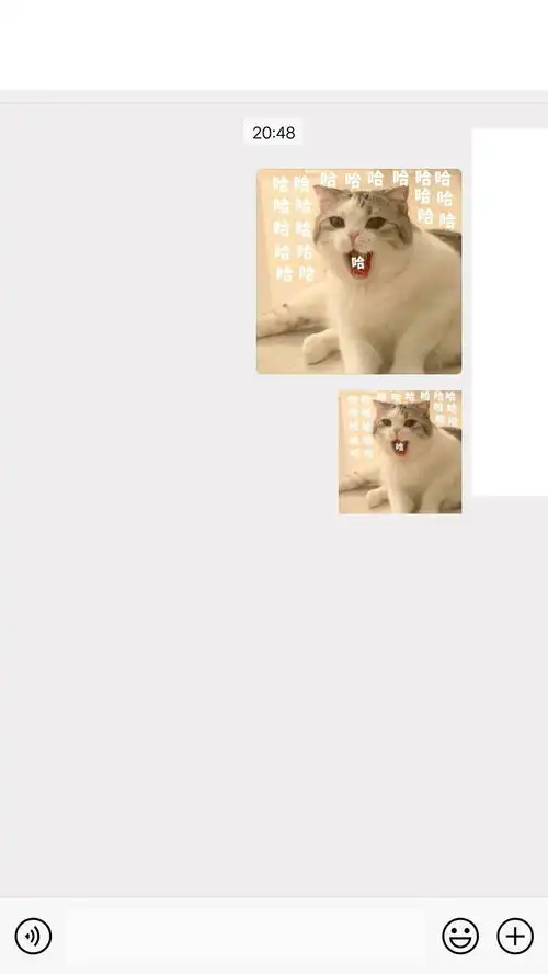 请问怎么把存进微信的表情缩小