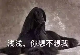 三生三世今天不谈桃花就聊聊x40
