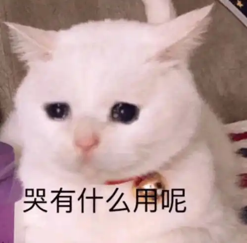男朋友被安排了小姐