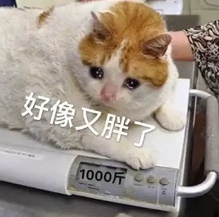 平平无奇的谭松韵,凭什么能吊打流量小花
