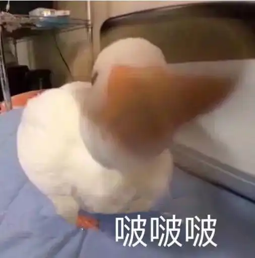 女孩被虐待,父亲不让报道担心失去老婆