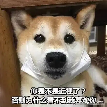 柴犬萌贱表情包合辑,不笑算我输