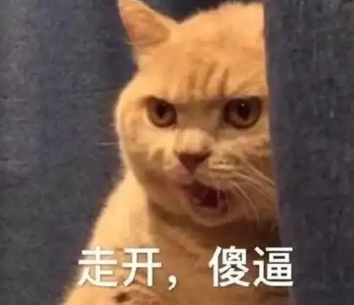 我喵生已到达巅峰,何须向铲屎官摇尾乞怜
