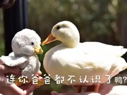 拜托哥哥,快把我弄坏吧