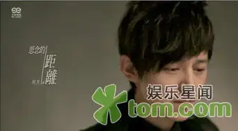 公司动态