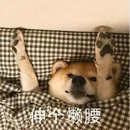 上下铺的这些利弊你都了解吗