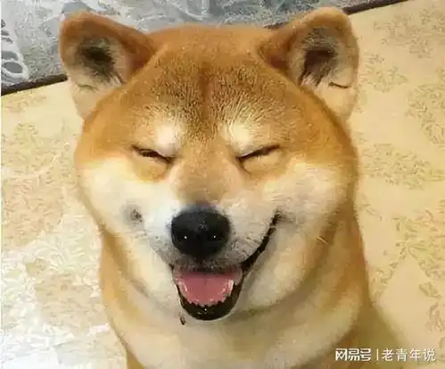 三寸蛇直播骂人视频被曝,网友笑称老姜有你这种粉丝,真倒霉