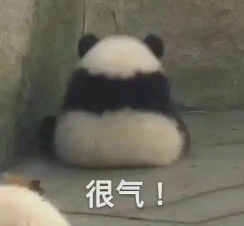 上次发表情包的时候还是上次