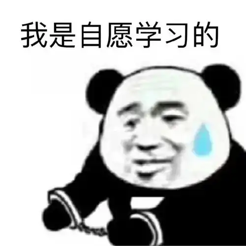 继考研头像后,考研人的专属表情包来啦