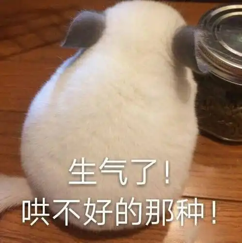 有哪些可爱的沙雕句子