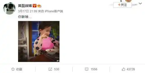 黄磊晒小女儿妹妹表情包,结果一不小心被网友们的神评论给萌哭了