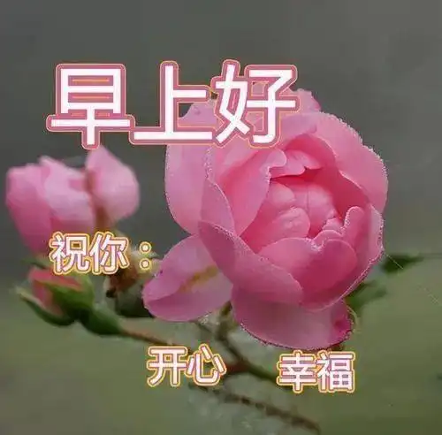 10月3日最新早上好表情图片大全,早上好祝福动态图片问候语